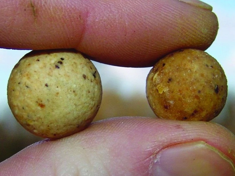 New ๐ฏ Korda Eazi-Stik Throwing Sticks ๐ - Image 3