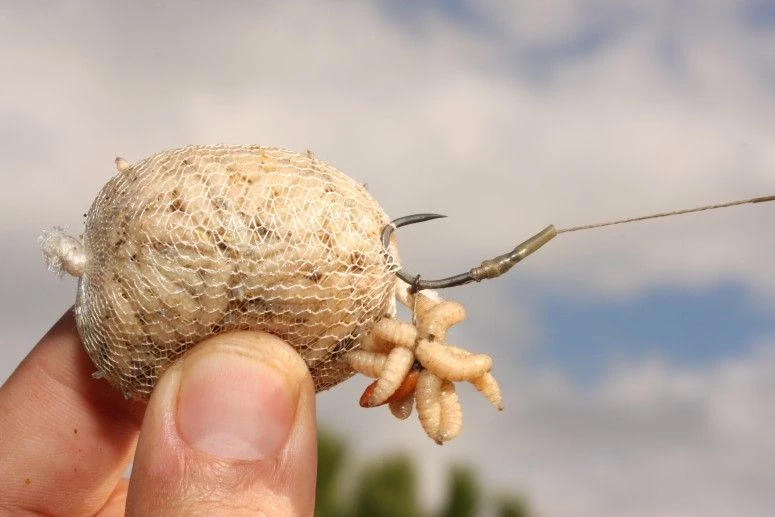 Cheap ๐ Korda Funnel Web PVA System Refill Terminal Tackle ๐ - Image 4