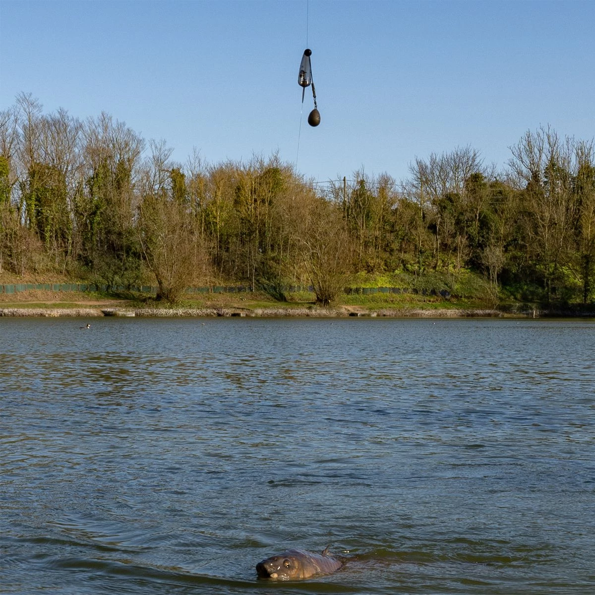 Cheap ๐งจ Korda Adjustable Zig Kit Terminal Tackle ๐ - Image 3